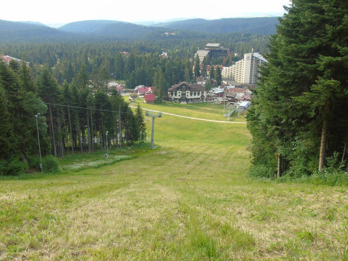 Хотел Флора Private Studio All Seasons Leilighet Borovets Eksteriør bilde