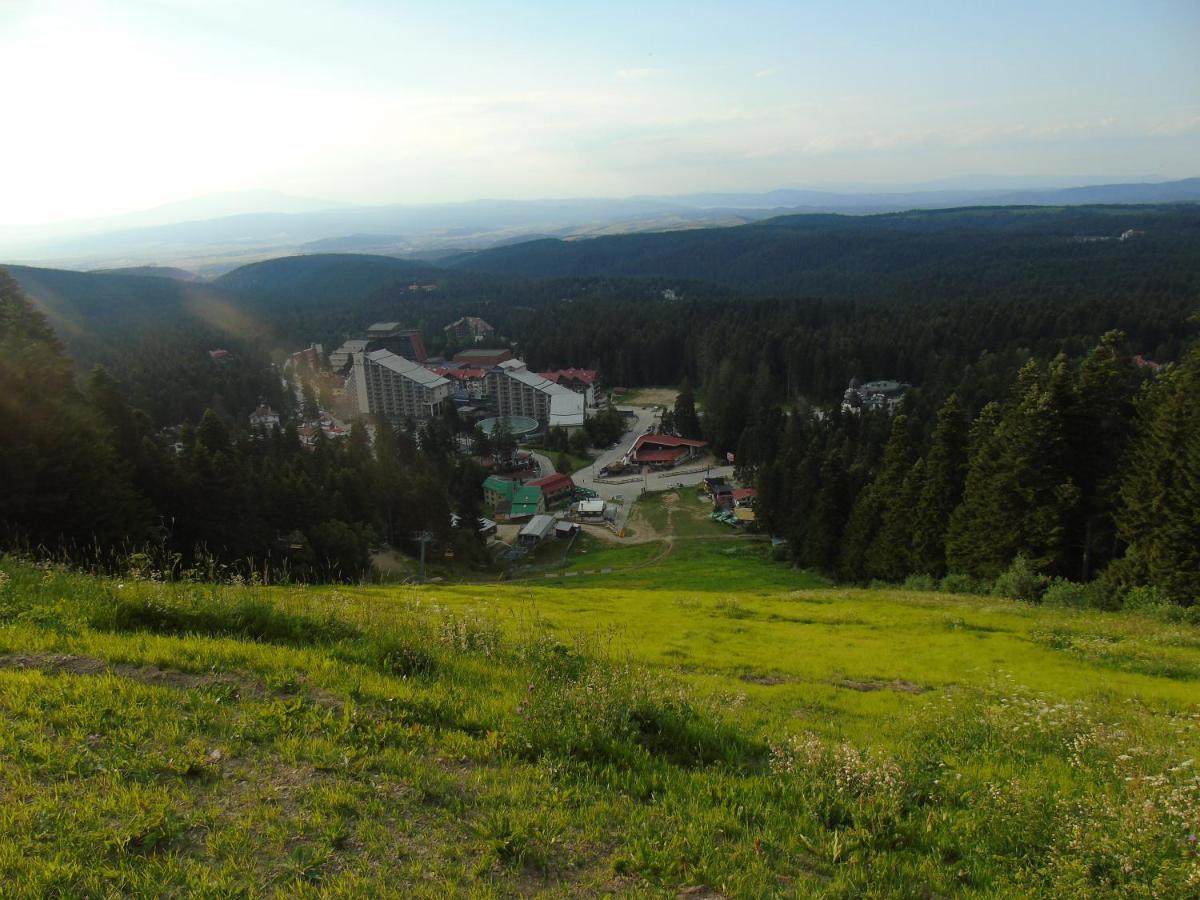 Хотел Флора Private Studio All Seasons Leilighet Borovets Eksteriør bilde